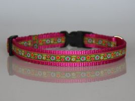 Halsband, pink-grün